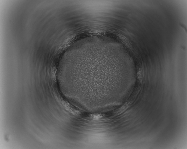 X0000099470662200805231831