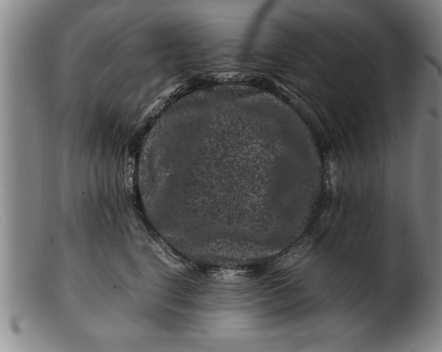 X0000099470664200805231831