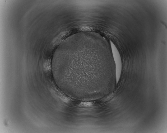 X0000099470665200805231831