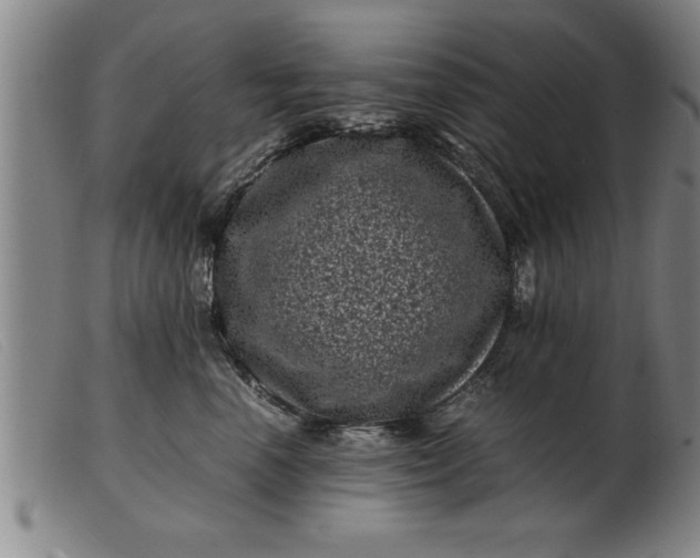X0000099470666200805231832