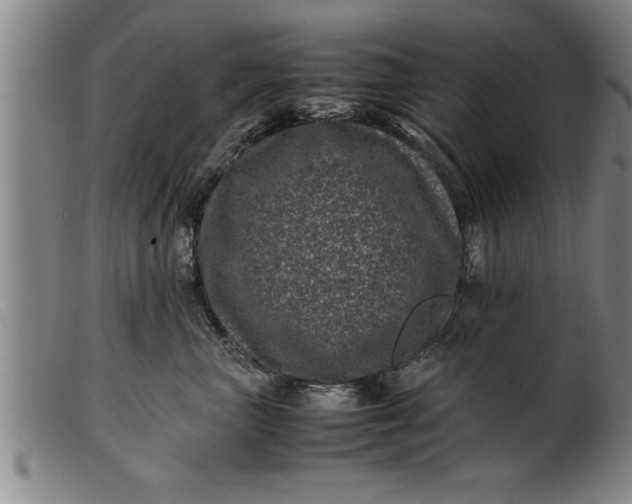 X0000099470667200805231832