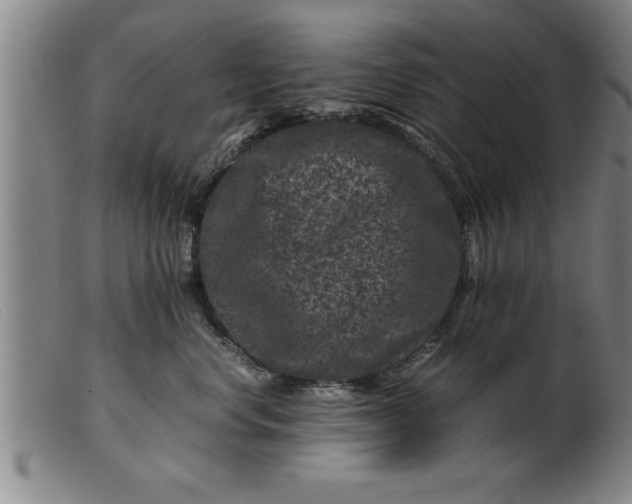 X0000099470668200805231832
