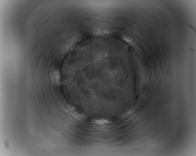 X0000099470669200805231832