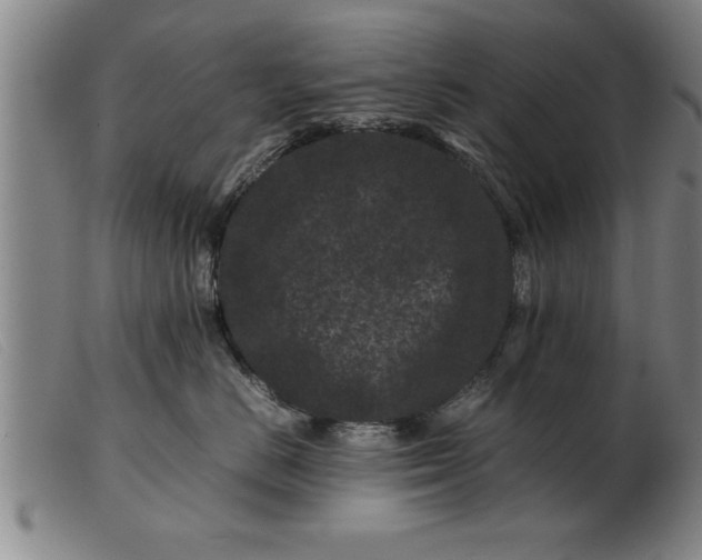 X0000099470670200805231832