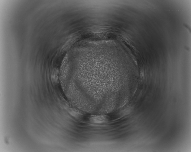 X0000099470671200805231832