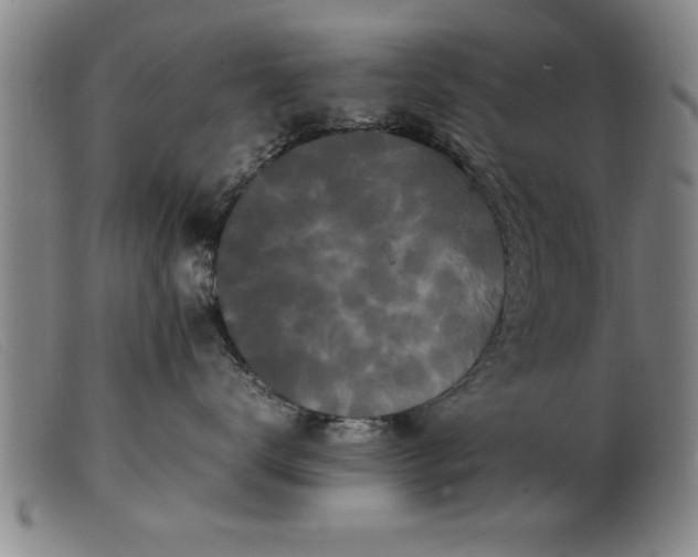 X0000099470672200805231832