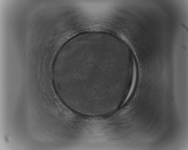 X0000099470673200805231831