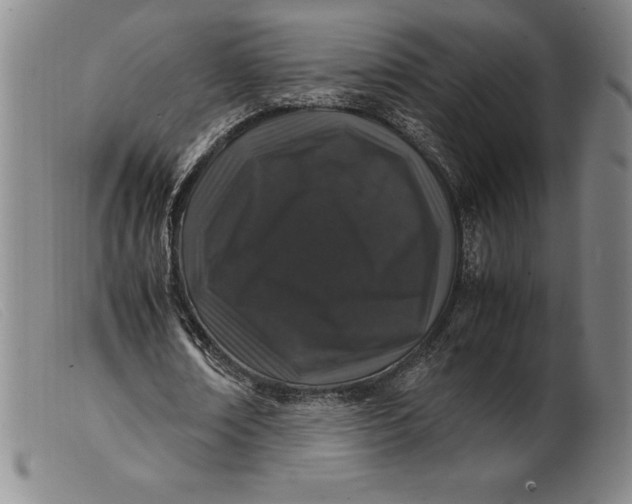 X0000099470674200805231831