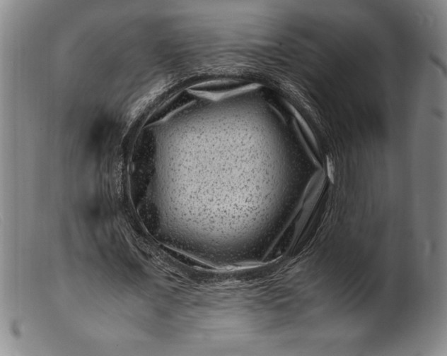 X0000099470675200805231831