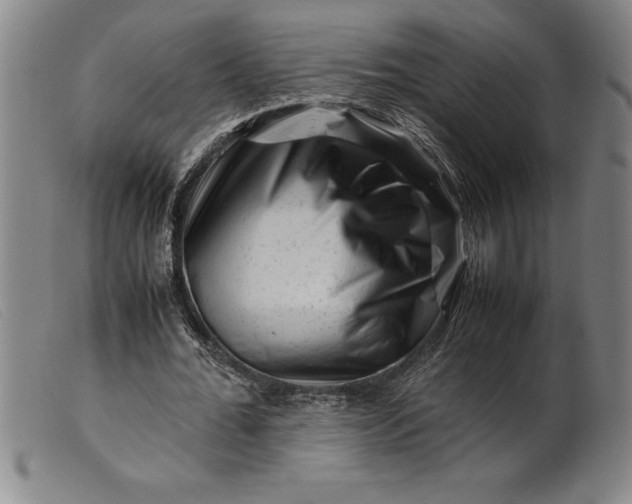 X0000099470676200805231831