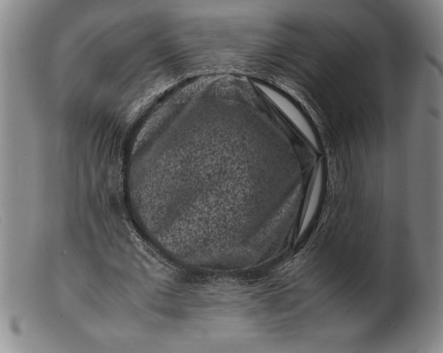X0000099470677200805231831