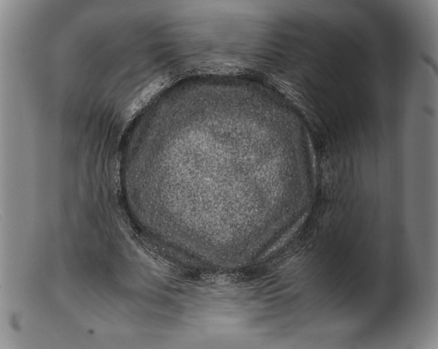X0000099470679200805231831