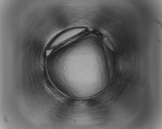 X0000099470680200805231831