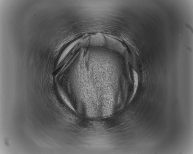 X0000099470681200805231831
