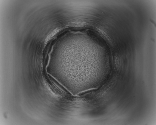 X0000099470682200805231831