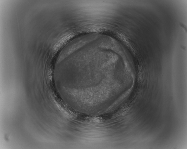 X0000099470683200805231831
