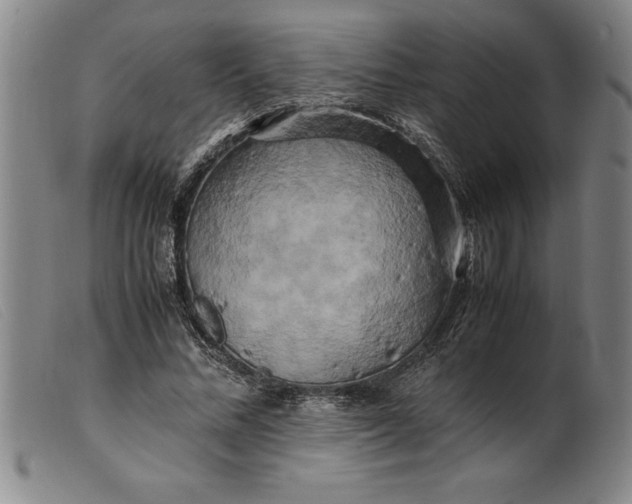X0000099470684200805231831