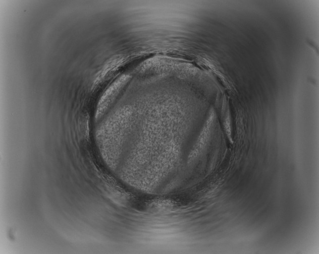 X0000099470685200805231831