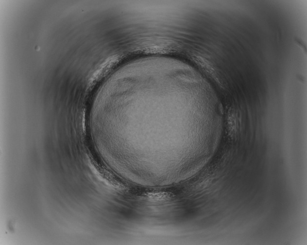 X0000099470686200805231831