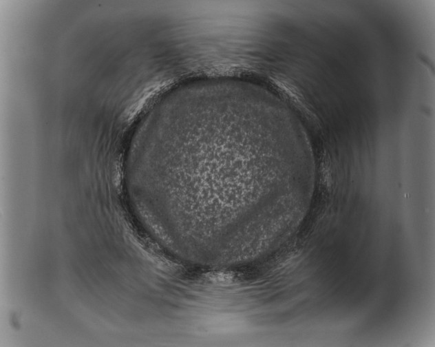 X0000099470687200805231831