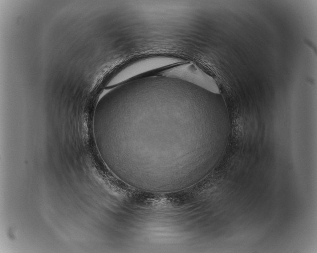 X0000099470688200805231831