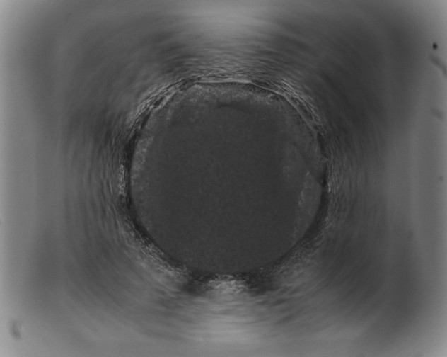 X0000099470689200805231831