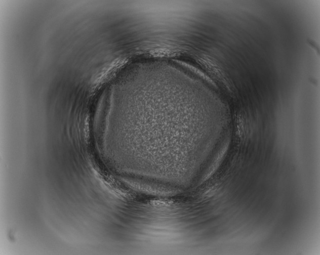 X0000099470690200805231831