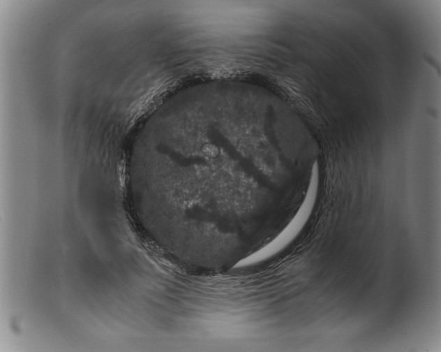 X0000099470691200805231831