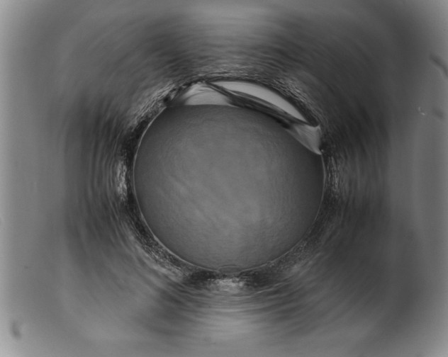 X0000099470692200805231830
