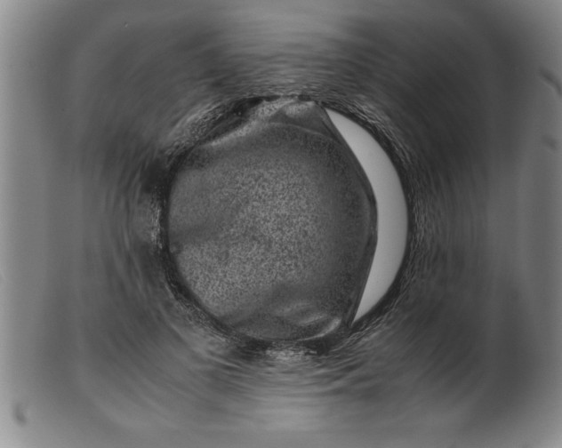 X0000099470693200805231830