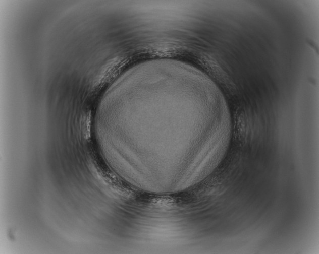 X0000099470694200805231830