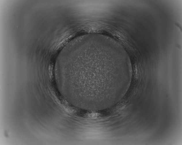 X0000099470695200805231830