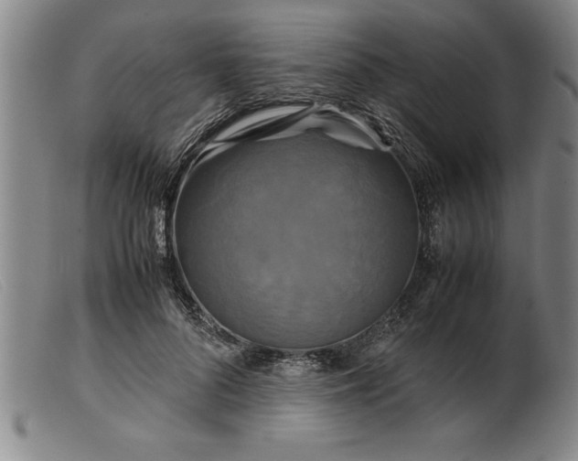 X0000099470696200805231830