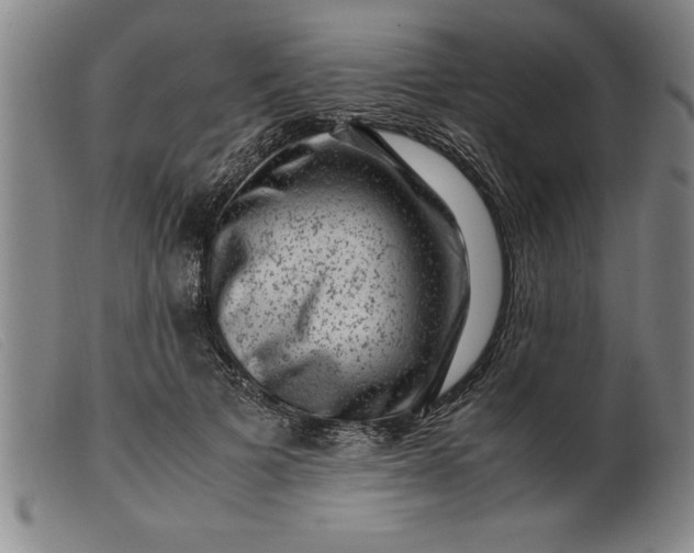 X0000099470697200805231830