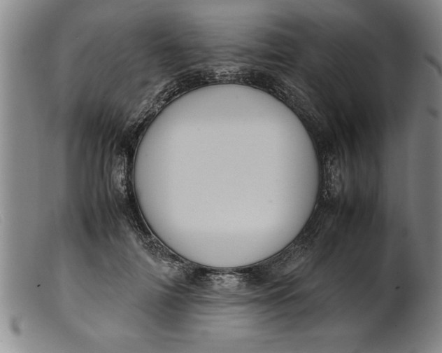 X0000099470698200805231830