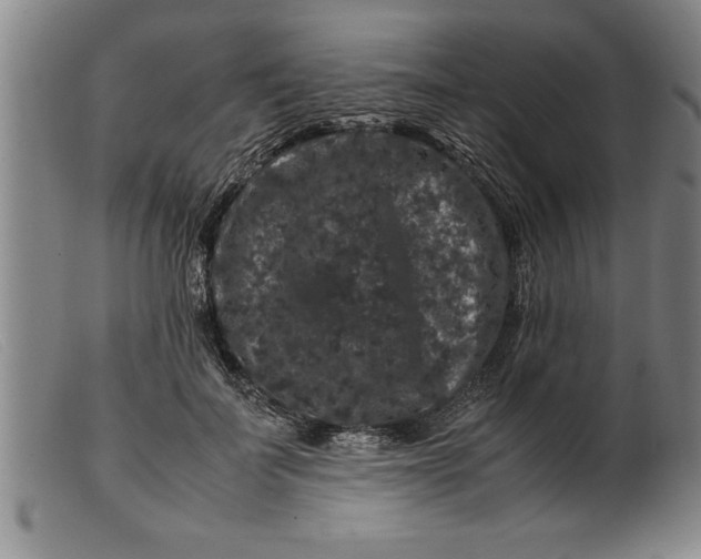 X0000099470699200805231830