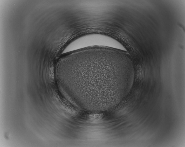 X0000099470700200805231830