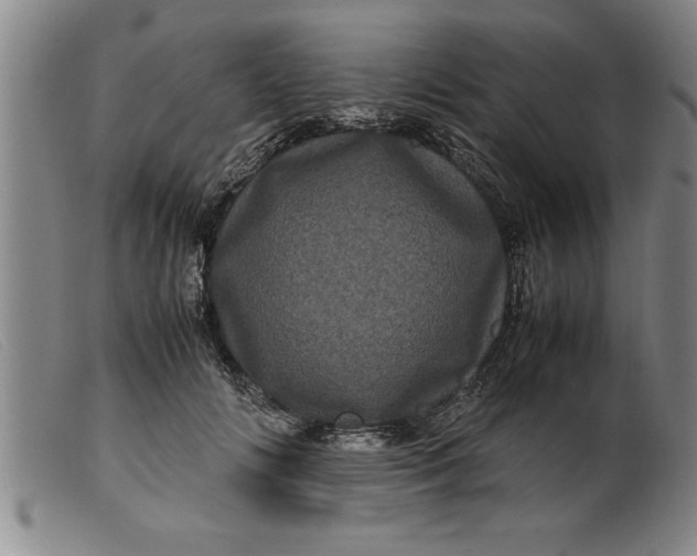 X0000099470702200805231830