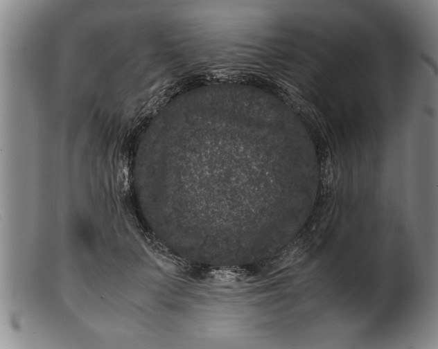 X0000099470703200805231830
