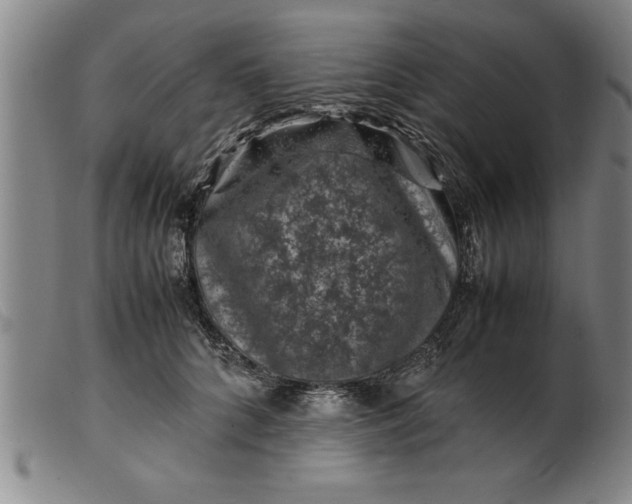 X0000099470704200805231830