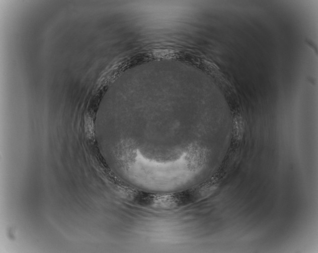 X0000099470705200805231830