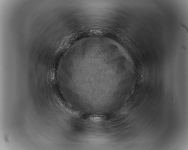 X0000099470706200805231830