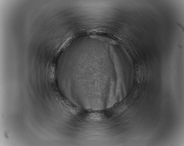 X0000099470708200805231830