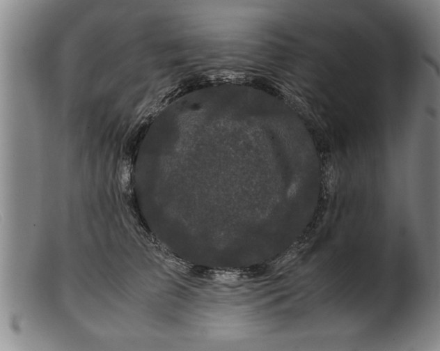 X0000099470709200805231830