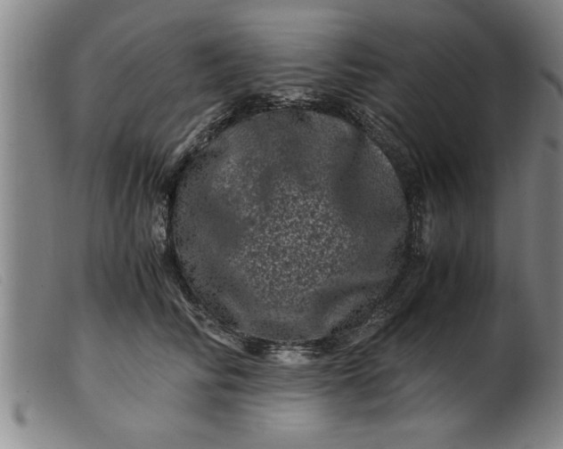 X0000099470710200805231830