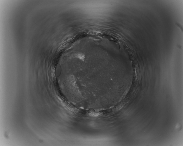 X0000099470711200805231830