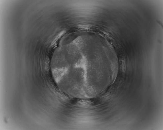 X0000099470712200805231830