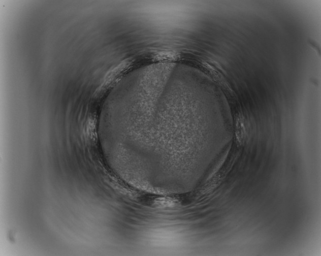 X0000099470714200805231830