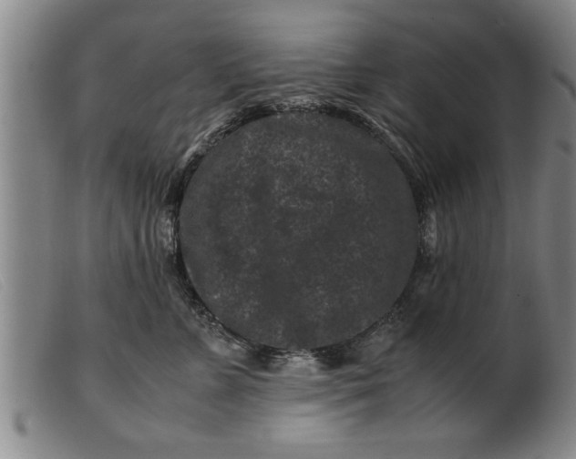 X0000099470715200805231830