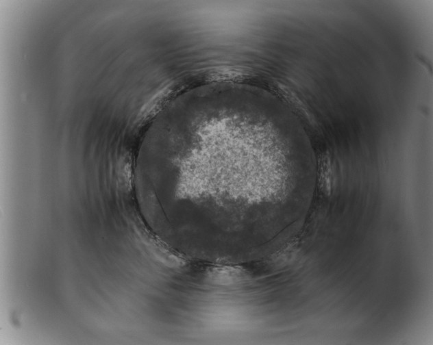 X0000099470716200805231830